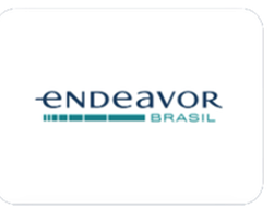 Endeavor Brasil
